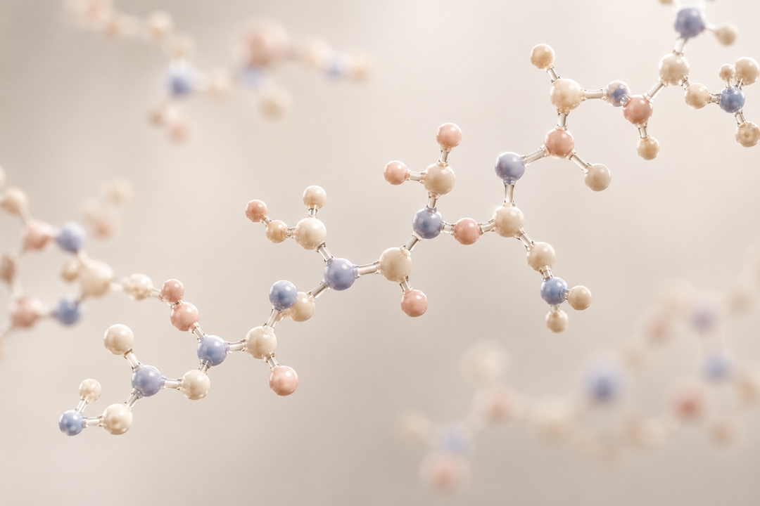The Growing Interest in Peptides: What You Should Know