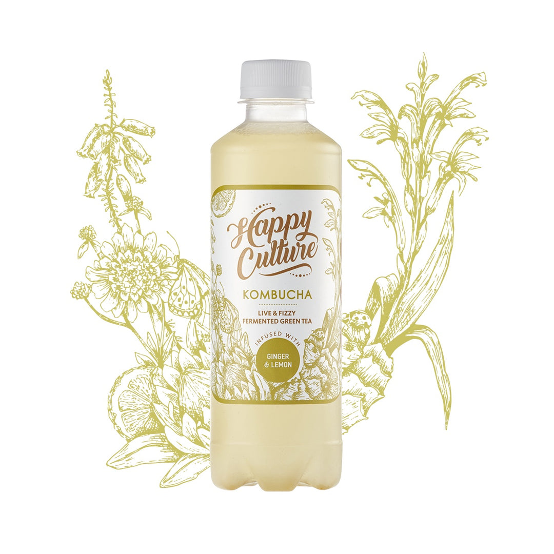 Ginger & Lemon Kombucha 340ml