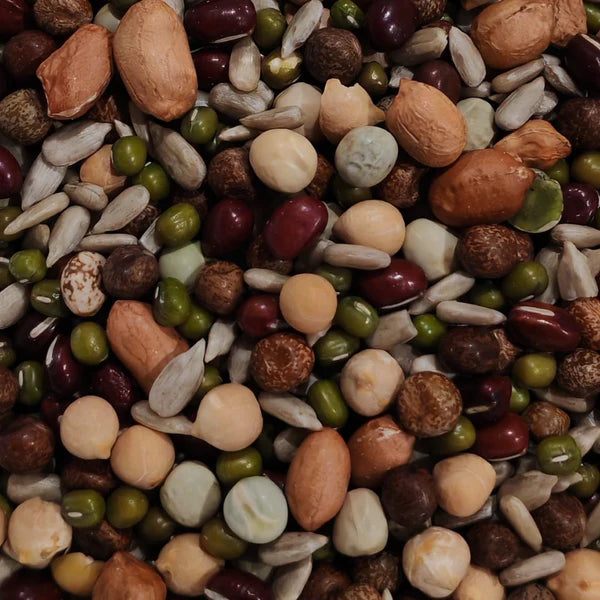 Chunky salad sprouting seed mix