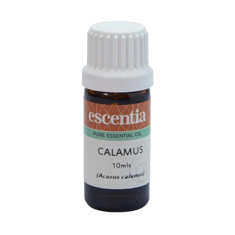 Escentia Calamus Oil 10ml