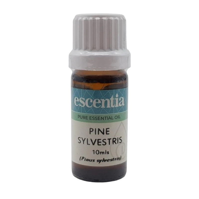 Escentia Pine Needle Oil 10ml