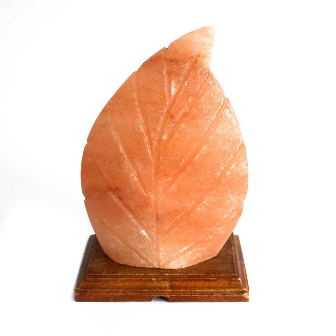 Leaf Salt Lamp