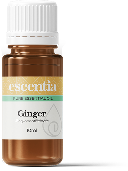 Escentia  Ginger Oil 20ml