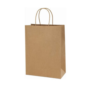 Carrier Brown Bag with  Twist Handle