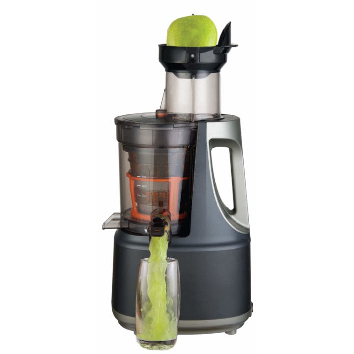 DNA Raw Press Juicer - Silver