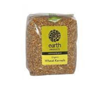 Wheat Kernels Organic 500g
