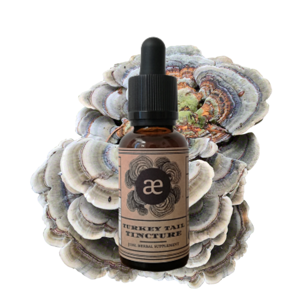 Turkey Tail Tincture 30ml
