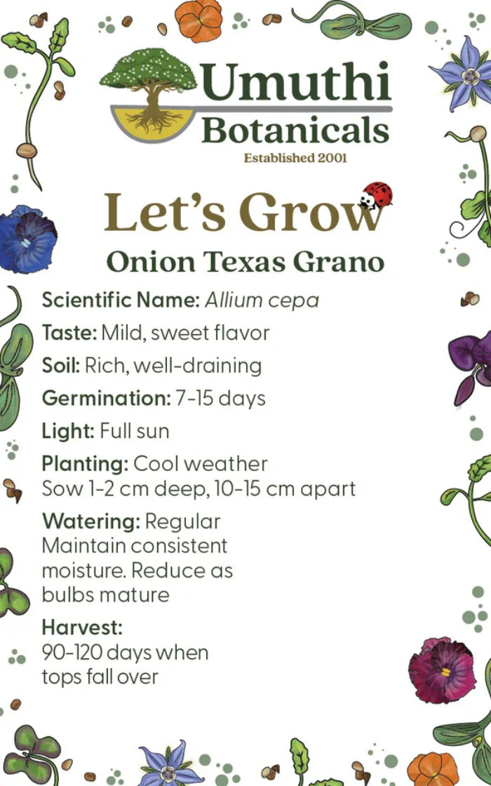 Onion Sprouting Seeds 35g