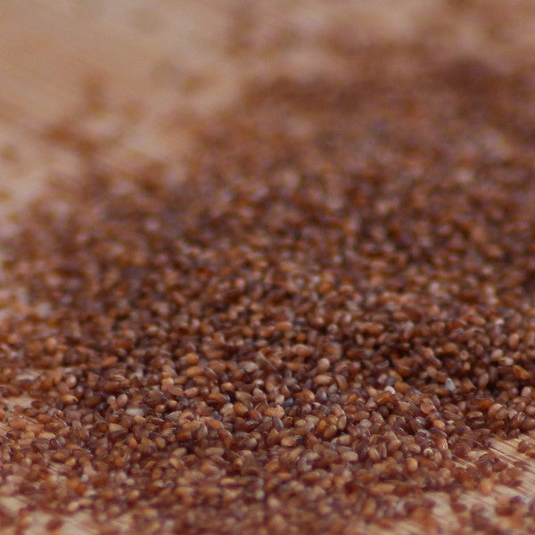 Teff Seeds