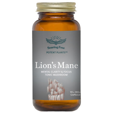 Lion&