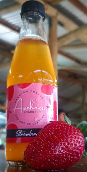 Strawberry kombucha 250ml -awehness