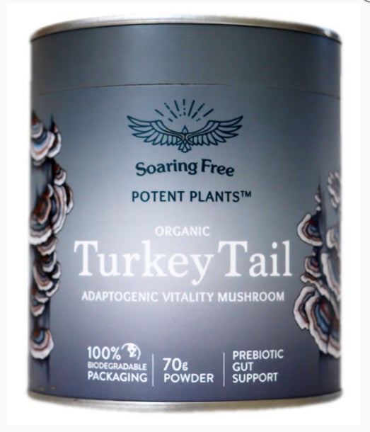 Turkey Tail Powder 70g