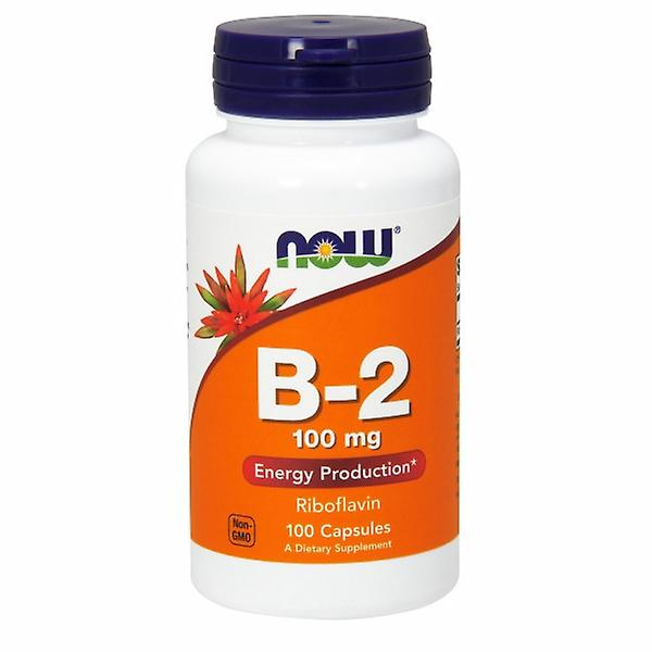 Vitamin B2 100mg 100vc