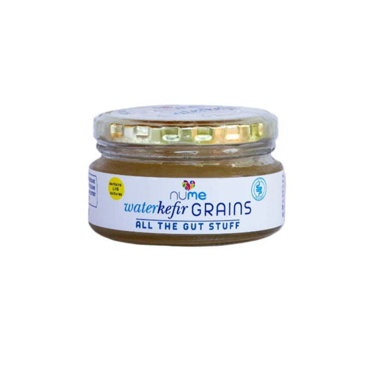 Water Kefir  Grains Starter Kit